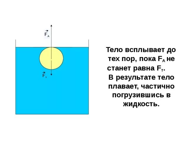 Когда тело всплывает. Когда тело всплывает физика. Условия плавания тел.