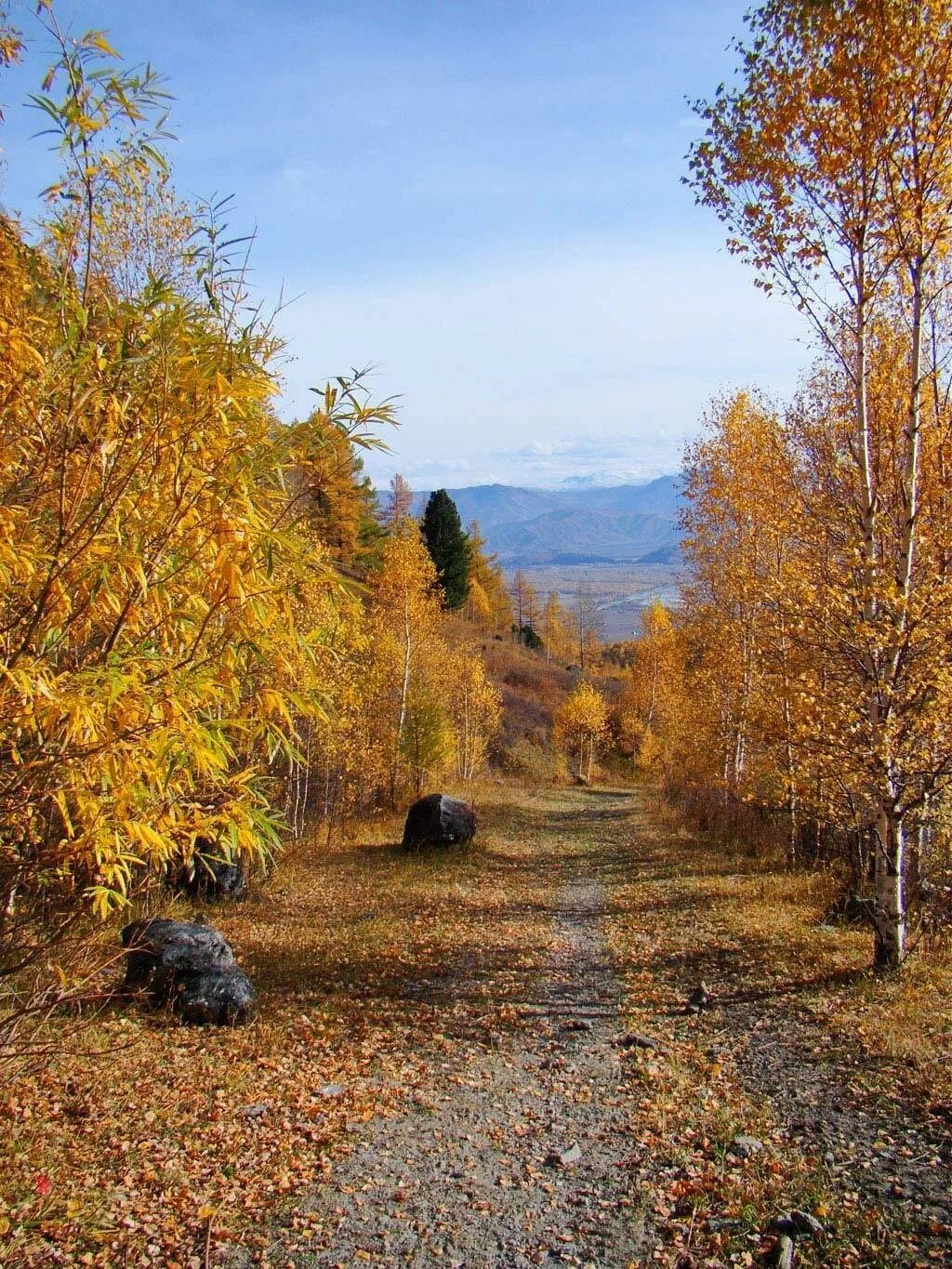 Былым осенью. Осень в деревне. Осень в России. Осенний пейзаж. Природа осень.