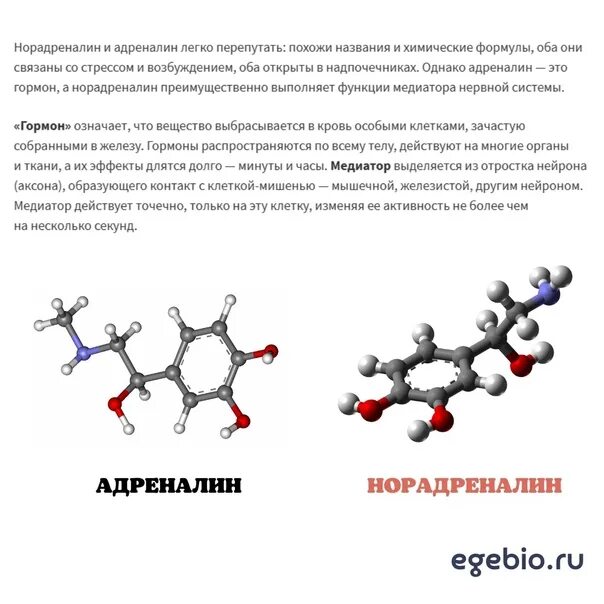 Содержание адреналина в крови. Норадреналин гормон формула. Адреналин и норадреналин. Норадреналин функции гормона. Адреналин и норадреналин отличие.