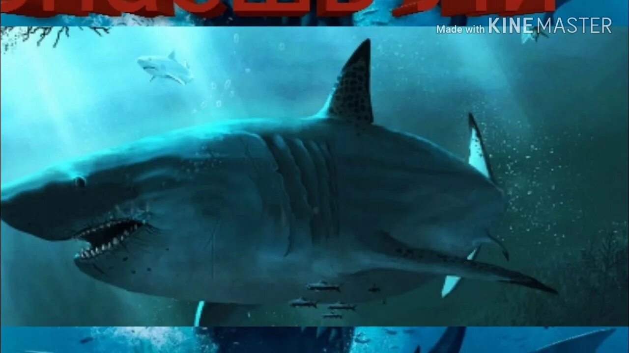 Megalodon fisch