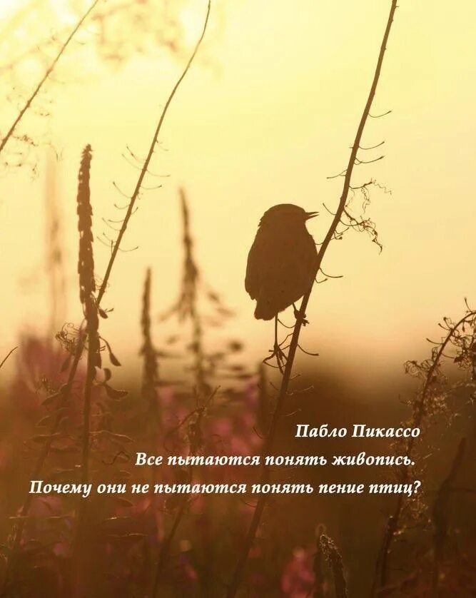 Искусство выражения