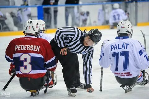 Турнир четырех наций по хоккею