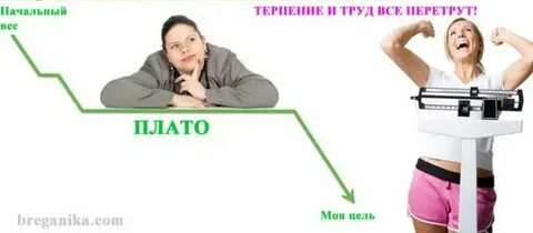 Почему стоит вес отзывы