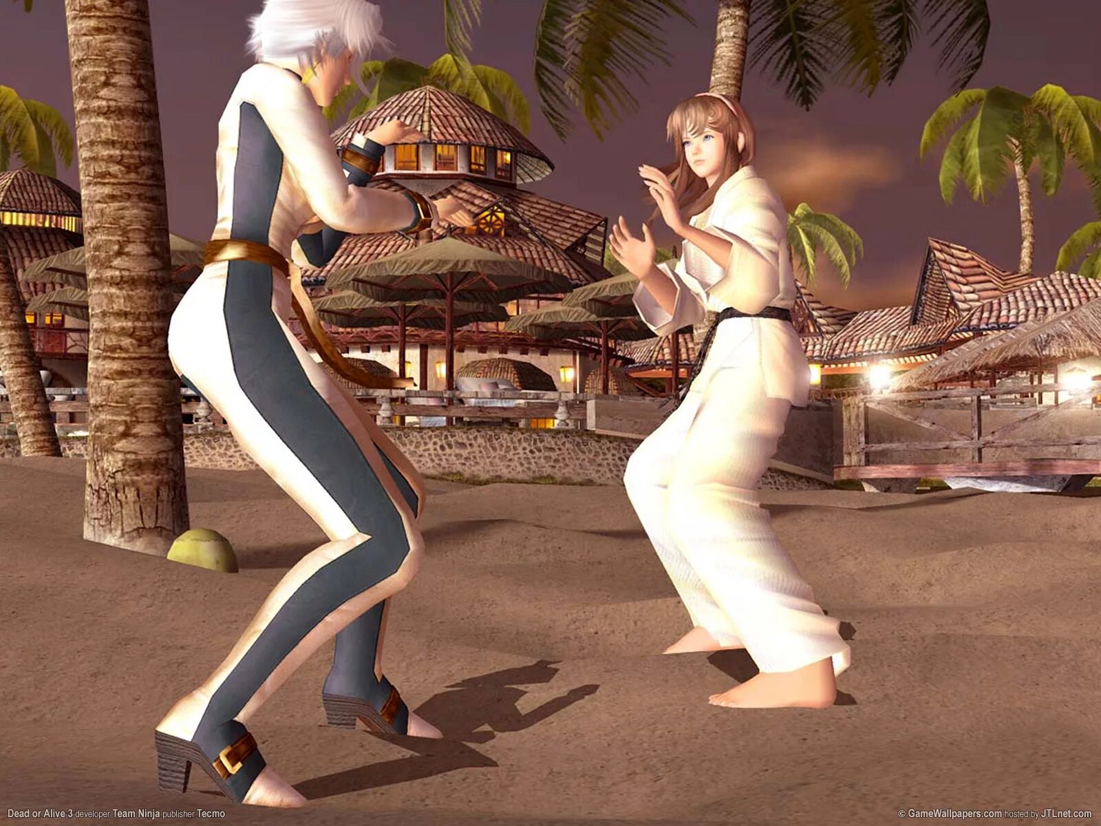 Dead or alive extreme. Dead or alive 3. dead of alive игра. dead or alive 3 игра. dead or alive 4.