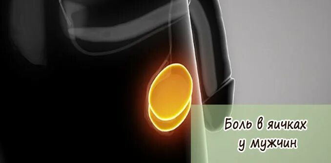 воспаление придатка семенника. боль в яйцах у мужчин причины. заболевания органов мошонки. боль в яичке причины. везикулит диагностика.