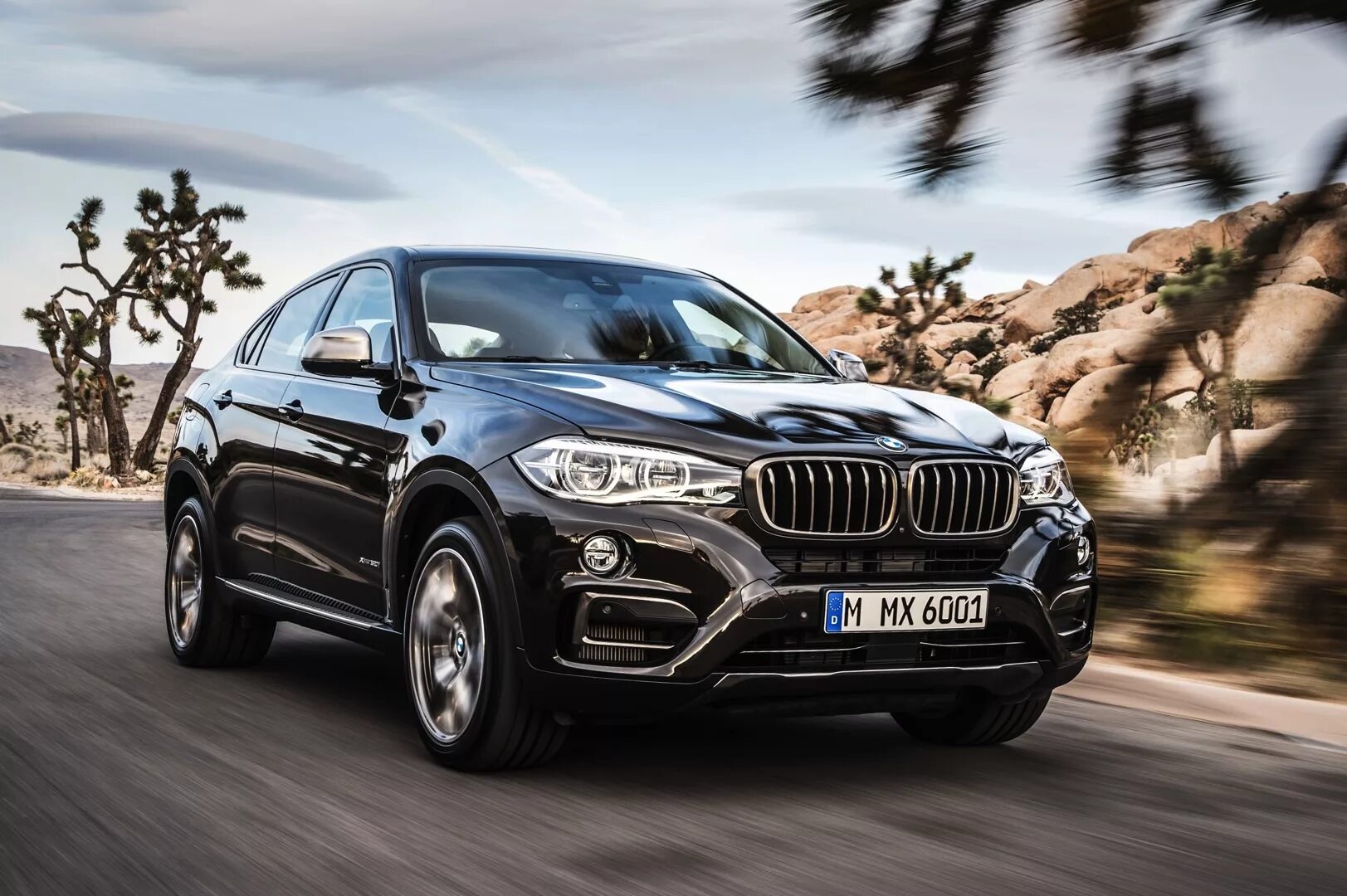 X 6