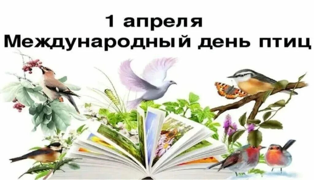 Международный день птиц отмечается 1 апреля. День птиц. Международный день птиц. Международный день Пти. 1 Апреля Всемирный день птиц.