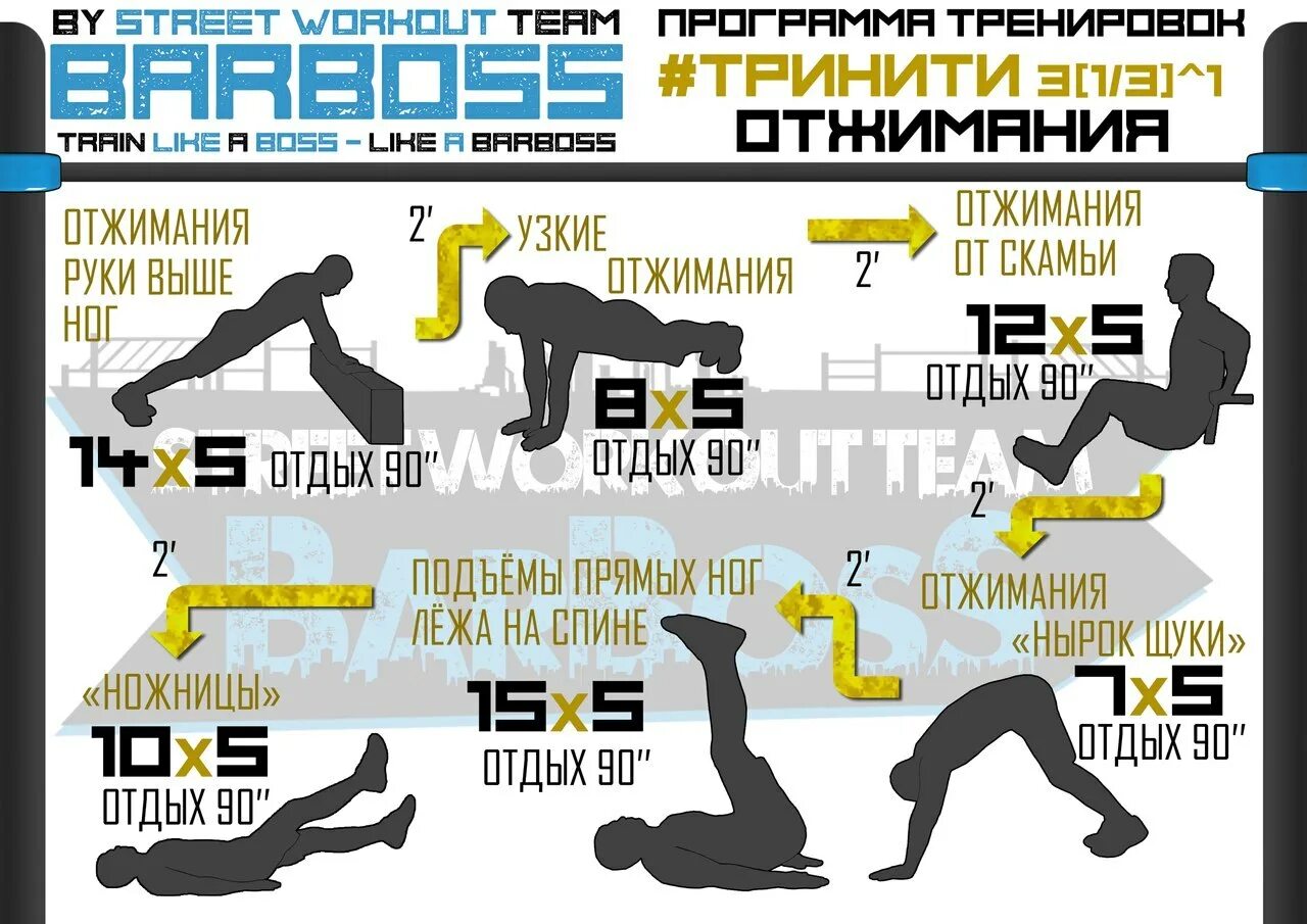 Программа тренировок. Калистеника упражнения. Калистеника программа тренировок. Программа тренировок БАРБОСС.