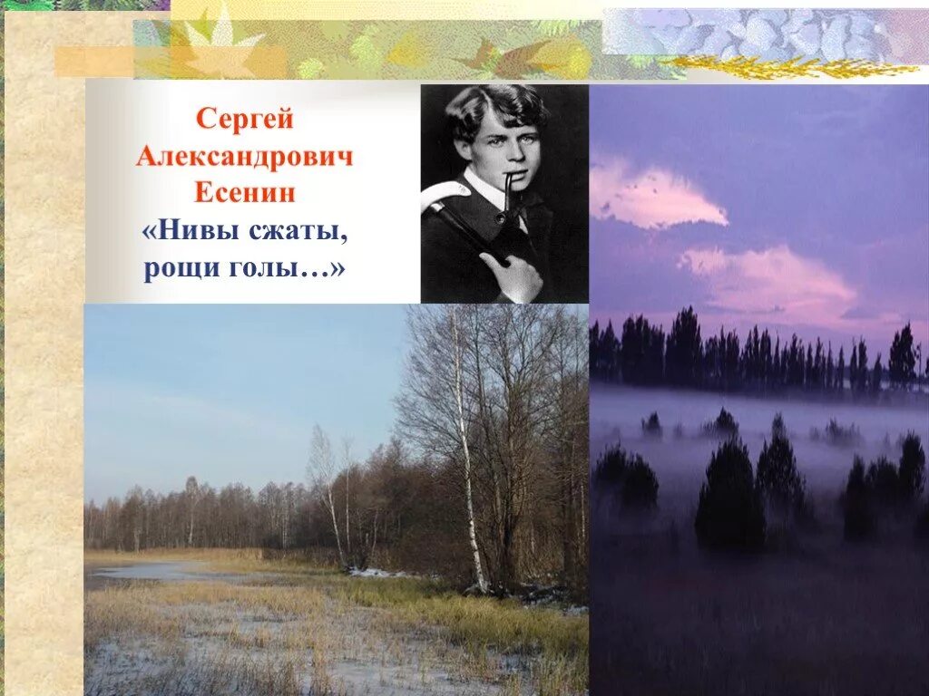 Есенин Рощи голы. Нивы сжаты Есенин 3 класс. С.А.Есенина "Нивы сжаты, Рощи голы...".