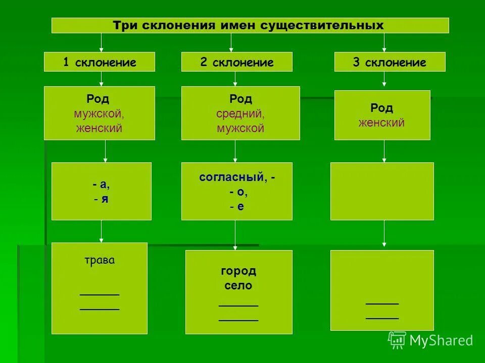 Мужской род первое склонение