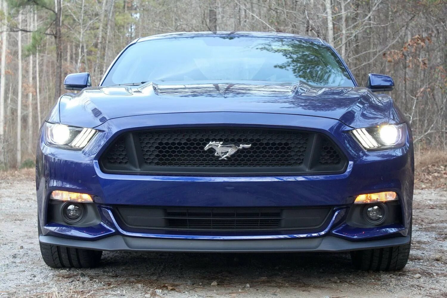 Бампер мустанга. Ford Mustang 202. Фара Форд Мустанг 2015. Кузов Ford Mustang 2015. Форд Мустанг 89.