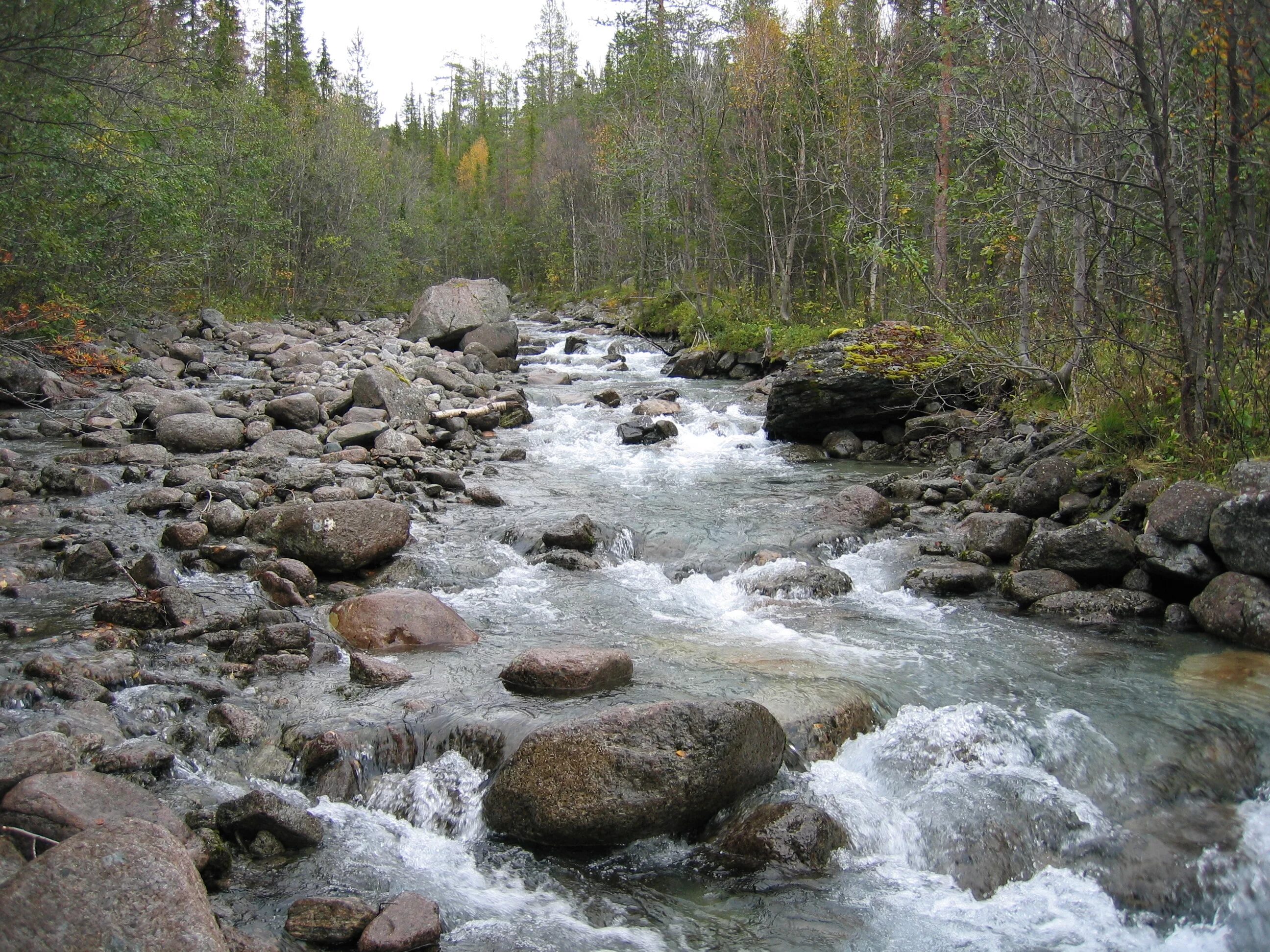 рудник заполярный медвежий ручей. ручи р. "горный ручей" водолечебница. красивый ручей. гуамини река.