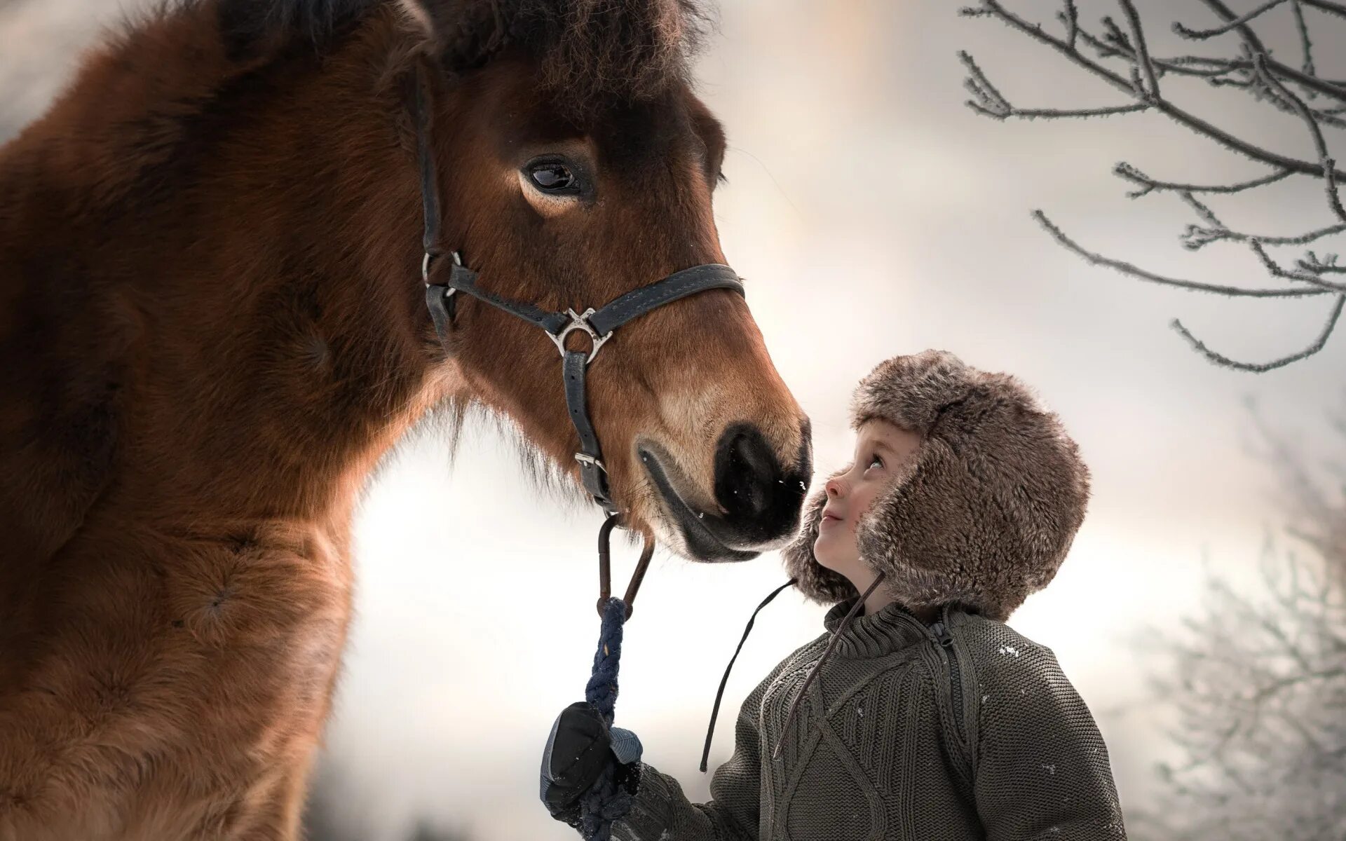 Конь пацаны слушать. Мальчик и конь. Подросток на лошади. Конь пацаны слушать. Малчоки верхом на лошади.