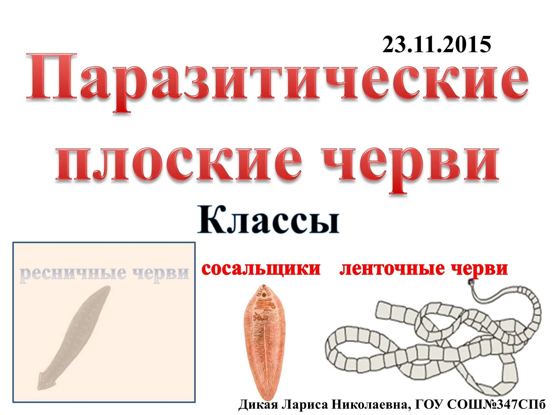 Нервная система червей паразитов. Кутикула паразитических червей. сообщение плоские черви на тетради.