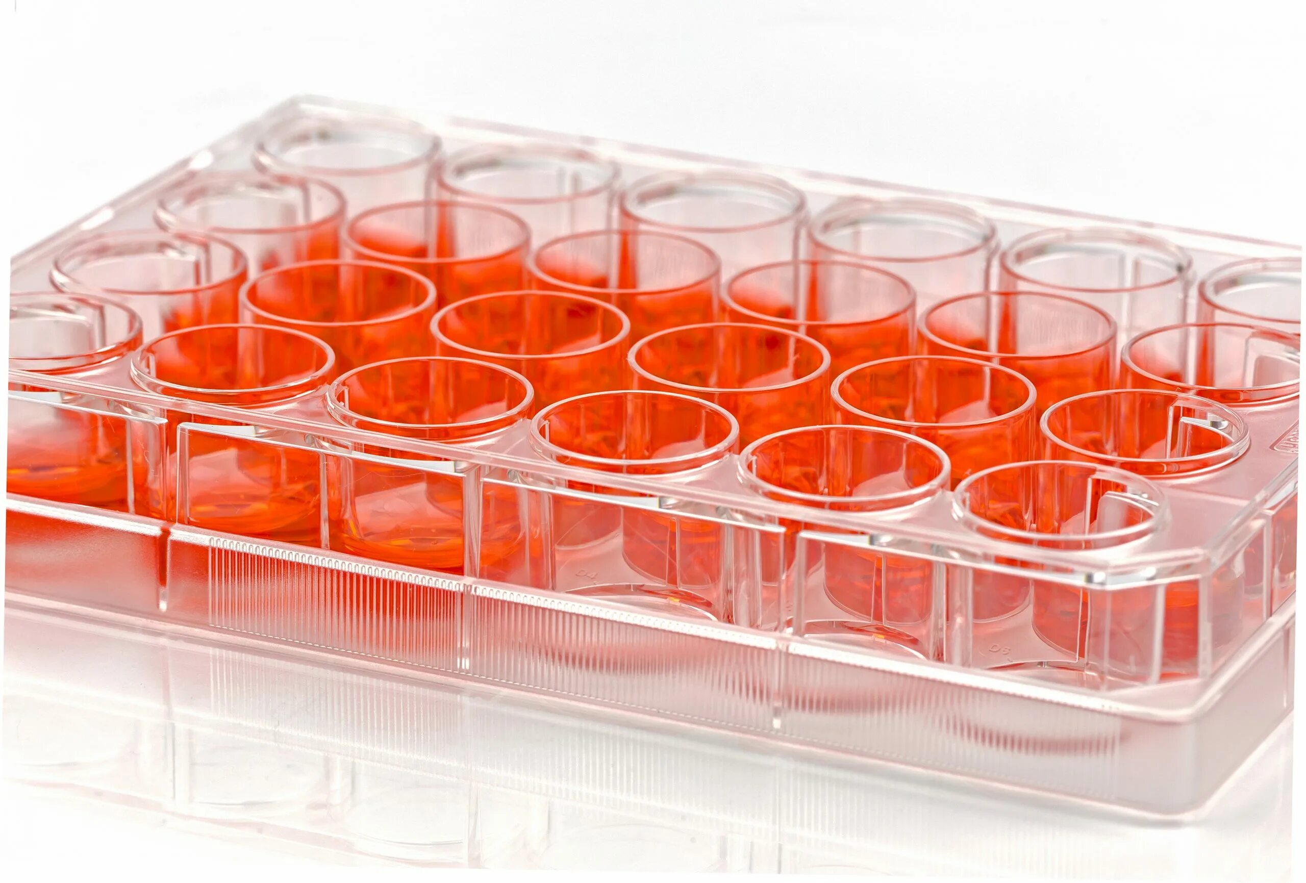 Среда для культур клеток. Eppendorf Cell Culture Plates (24-луночные, 60 шт). Cell Culture. 24 Well Plate. Контейнер под стволовые клетки.