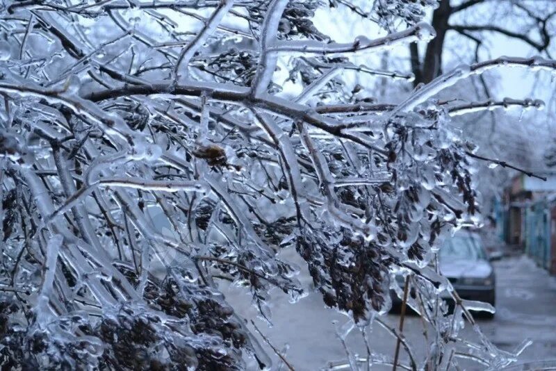 Иней десублимация. Налипание мокрого снега на провода. Обледенение лэп. Иней на проводах. Гололедно изморозевое отложение.