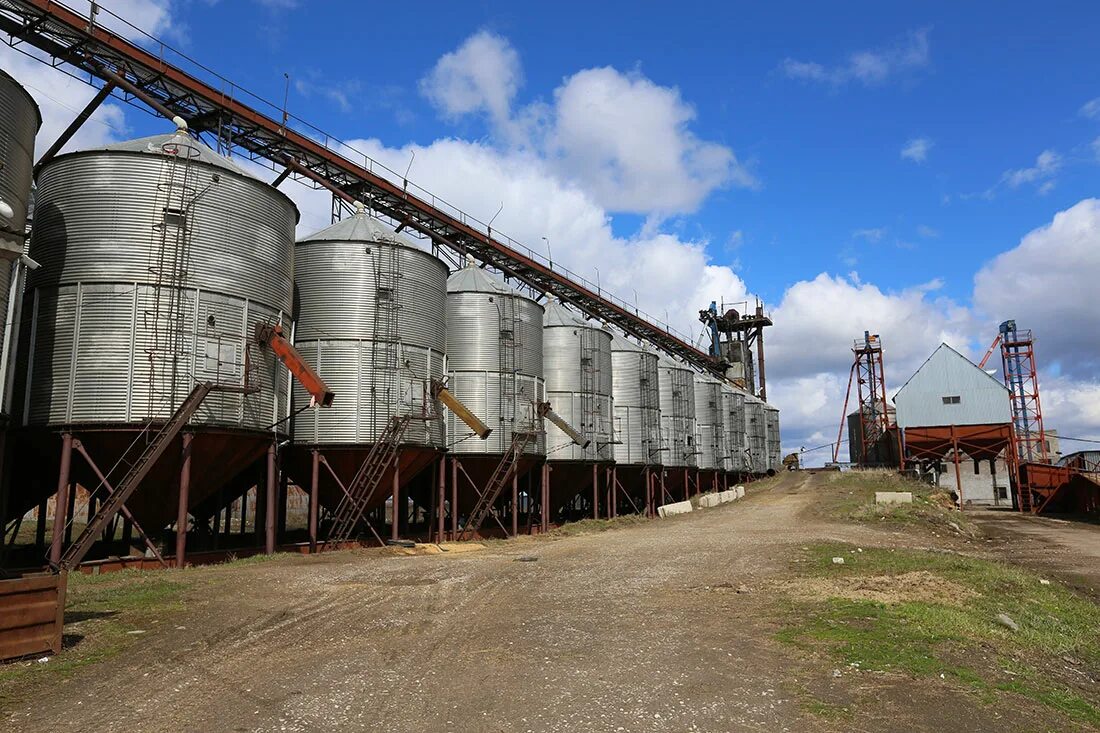 Орловка самарская область. Племенной завод Дружба Самарская область. Село Орловка Кошкинский район. Племенной завод Дружба Кошкинский район. Село Орловка Самарская область.