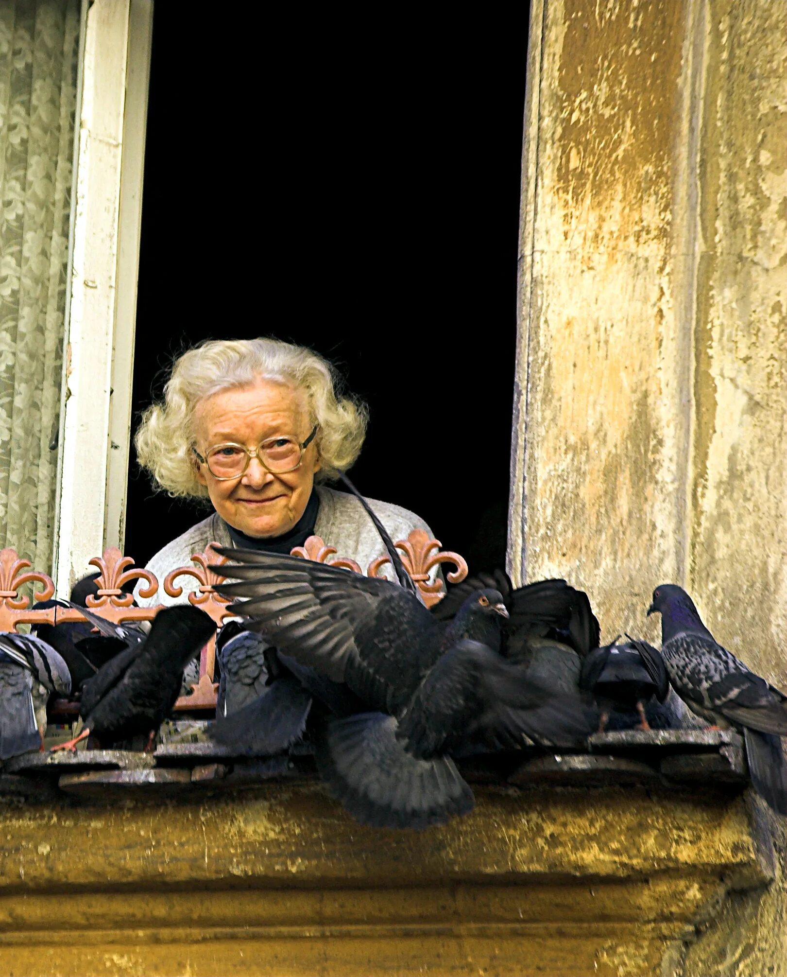 Сколько старухи живут. Grandmother Feeds the Bird images.