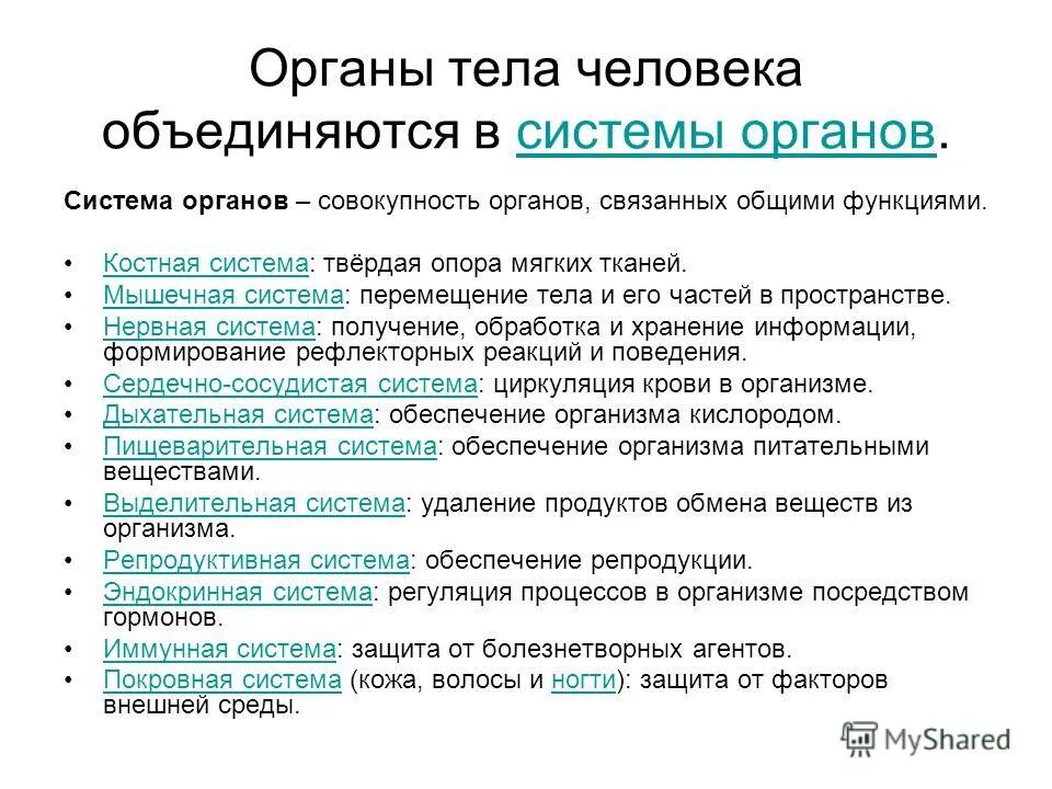 общая характеристика функциональной системы дыхания. системы обеспечения организма. основные функциональные системы. обеспечение организма необходимыми. функциональные системы организ.