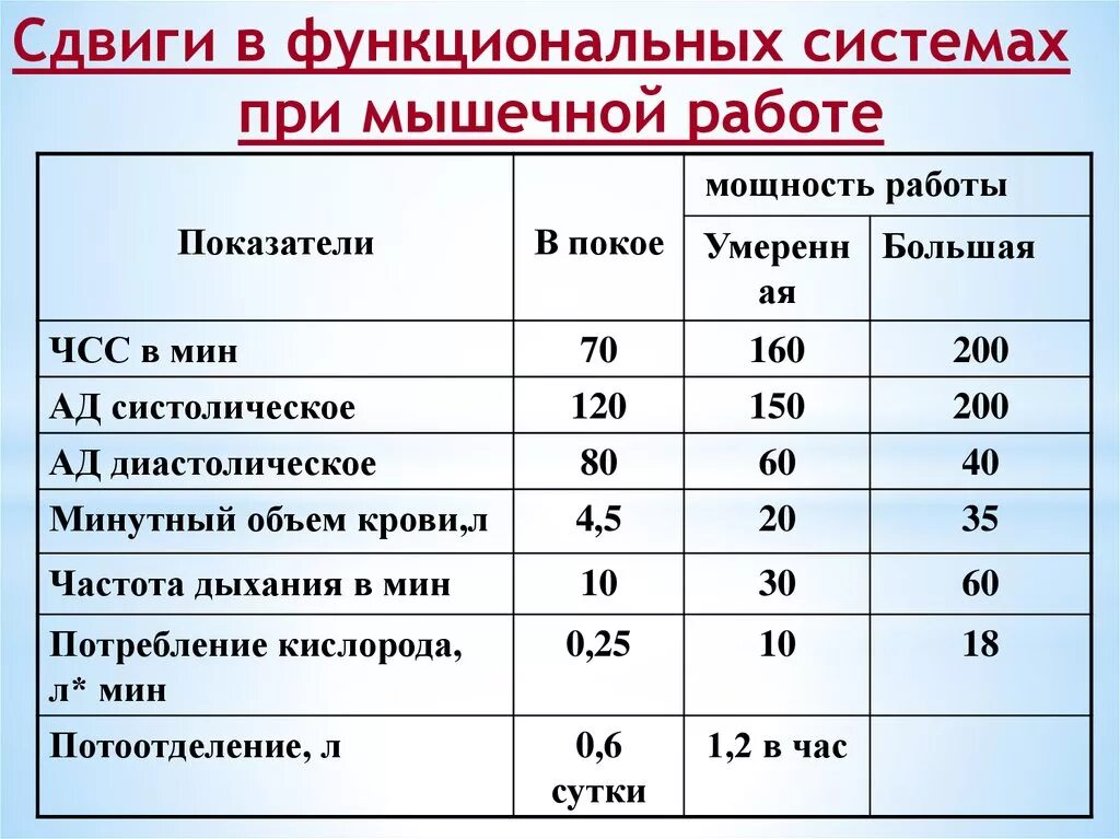 Изменение ЧСС при физической нагрузке. Изменение ЧСС при мышечной работе. Показатели сердечной деятельности. ЧСС В покое и при физической нагрузке. Давление после спорта