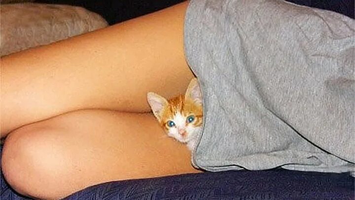 Девушка с котом на руках и голой киской между ног фото
