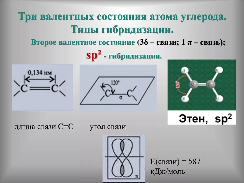 Гибридизация атомов в молекуле бутадиена. Изопрен тип гибридизации атомов. sp3 гибридизация атома углерода. три валентных состояния атома углерода. типы гибридизации атома углерода.