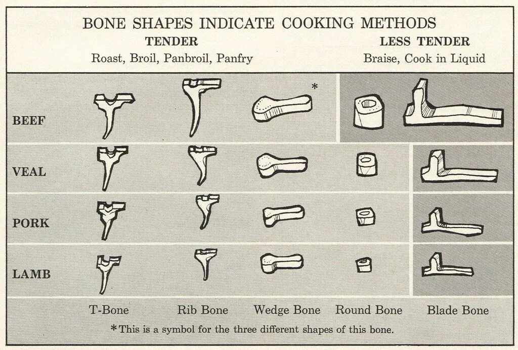 Bone bone shape. Wedge shaped bone.