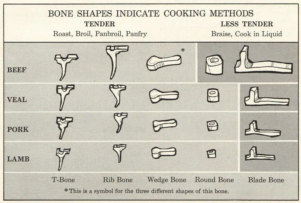 Bone meaning. Чертеж Bone Musical. Wedge Shaped Bone. Basic Bone. Оборудование Bone.