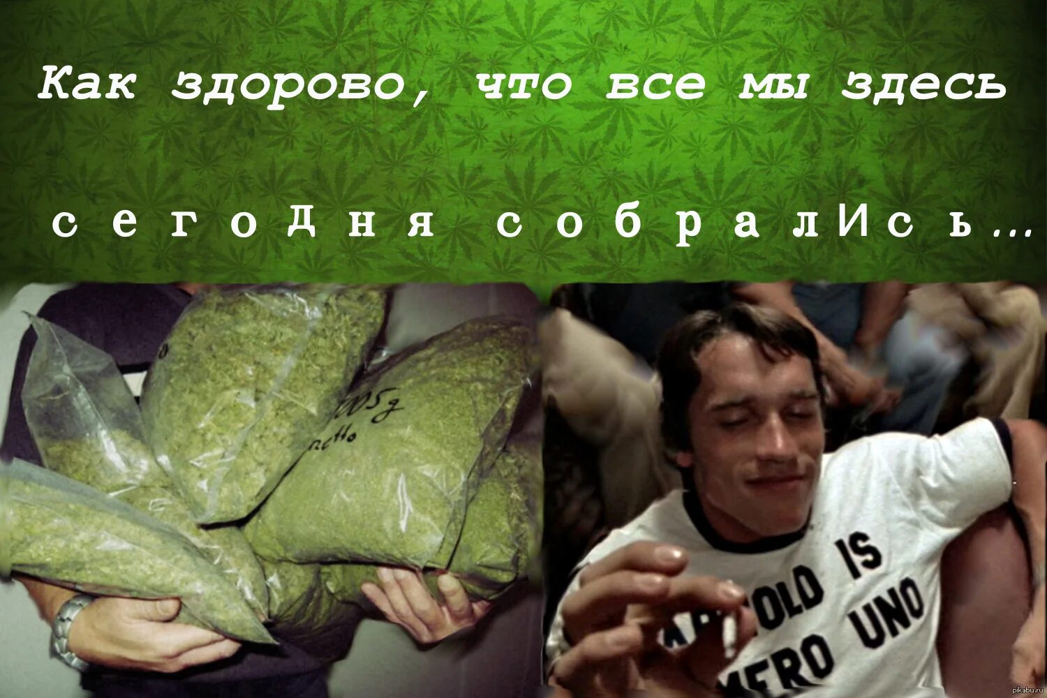 Как хорошо что мы сегодня собрались. Как здорово что все мы здесь прикол. как здорово что все мы здесь сегодня собрались юмор. как здорово что все мы здесь сегодня собрались демотиватор. как здорово что все мы здесь сегодня собрались мем.
