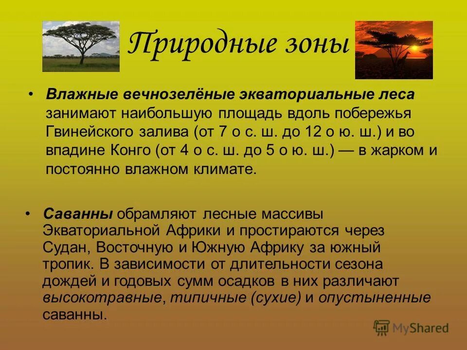 Влажные экваториальные леса сообщение. Климатические условия экваториального леса. климатические условия в экваториальных лесах. влажный экваториальный лес климат. влажные экваториальные леса климатические условия.