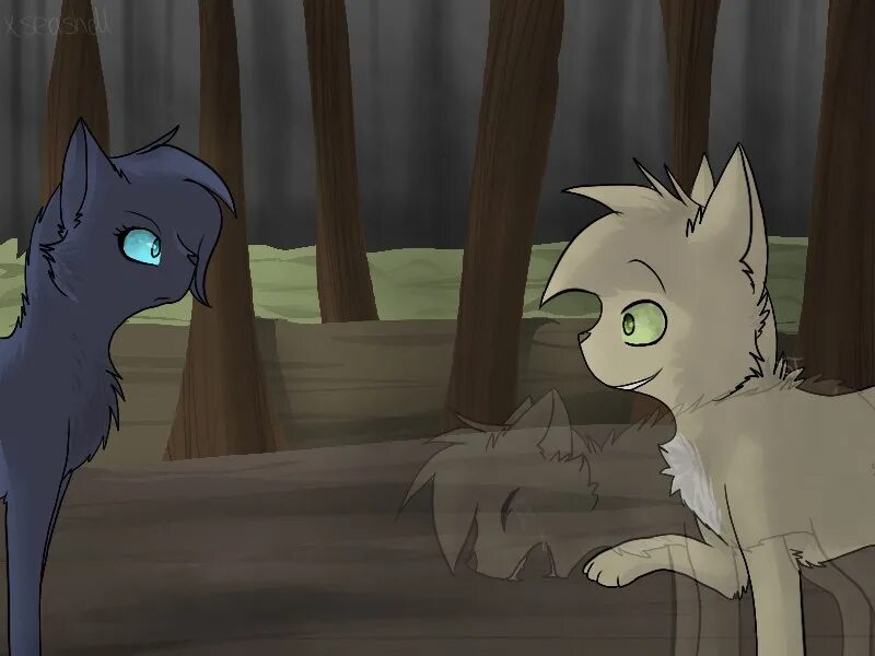 Коты воители дроздовик. Коты воители дроздовик и синегривка. Дроздовик коты воители арт. Коты воители дроздовик и синегривка. Синяя звезда и дроздовик.