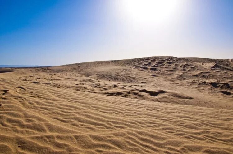 сколько градусов в пустыне сахара
