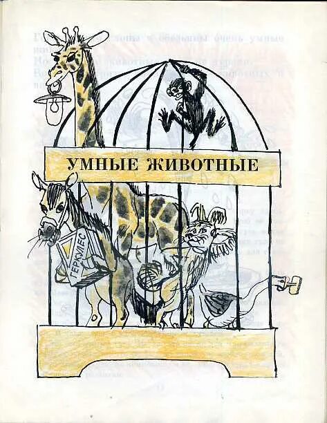 Зощенко собака. Иллюстрации зощенко умная собака. зощенко рассказы о животных.