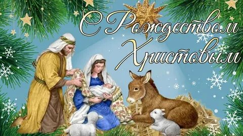С рождеством 2024 прикольные