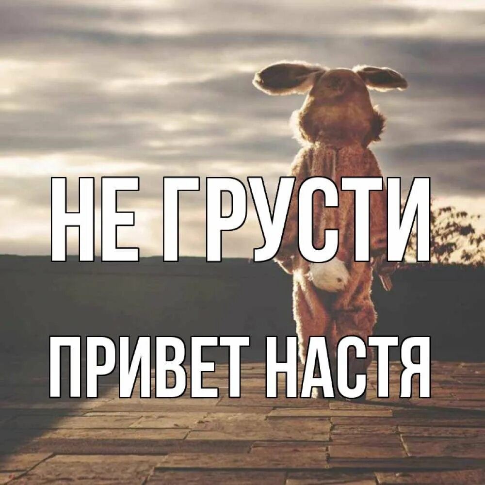 Привет можешь проголосовать пожалуйста. Привет настюшка. привет настенька. привет настя картинки. привет настенька картинки.