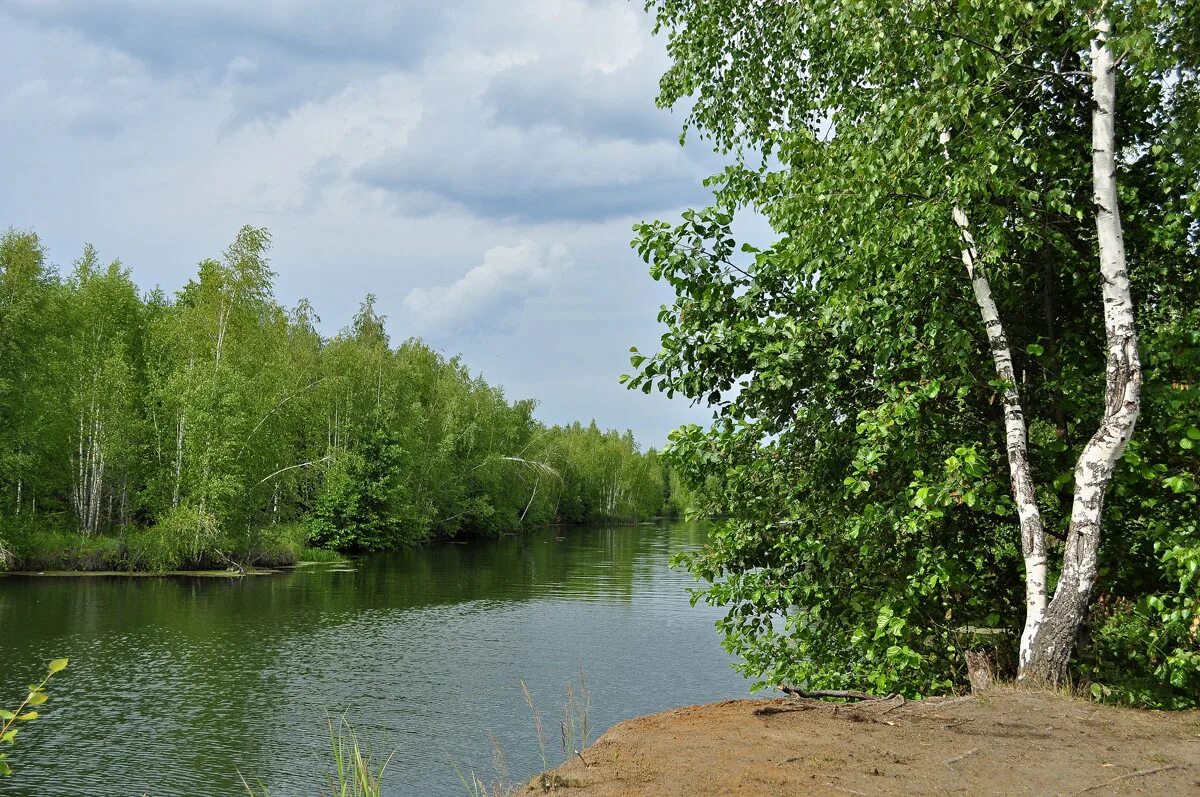 Тула природа. Природа тульского края. Тула пейзажи. Пейзажи тульского края.