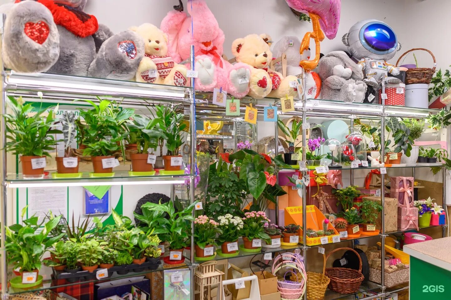 магазин цветов лесная. магазин цветов лесная. магазин цветов. ландшафтное бюро ваш сад, можайск. магазин цветов валуйки.