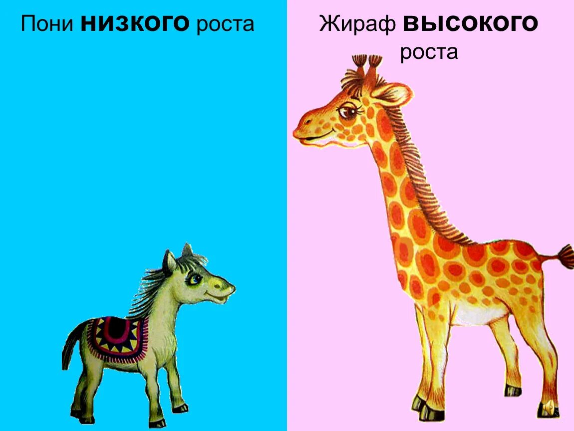 Высокий низкий для детей. Карточки "высокий - низкий". Высокий низкий карточки для детей. Высокий - низкий.