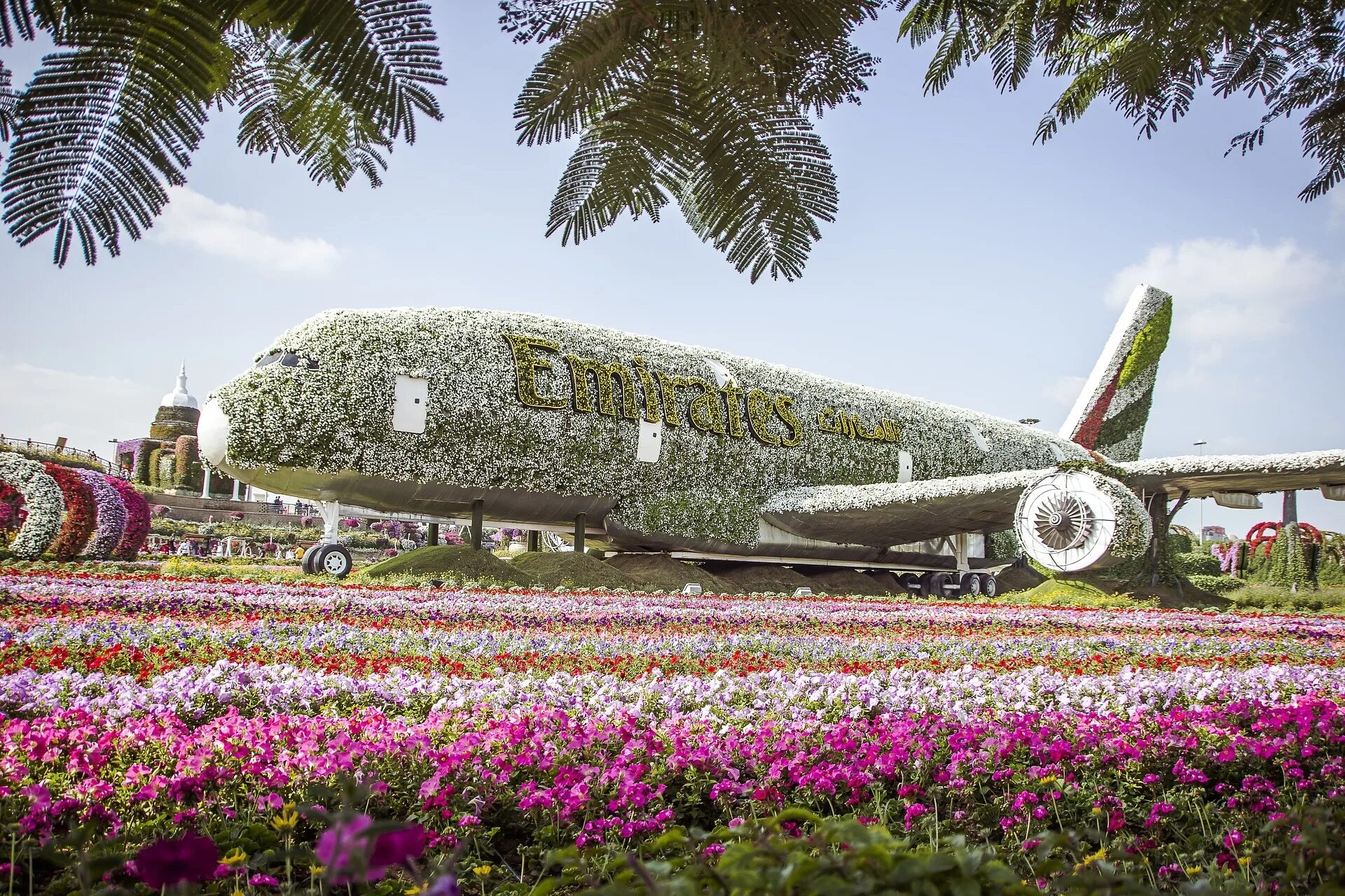 Миракл Гарден Дубай. Цветочный парк в Дубае. Парк цветов Miracle Garden Дубай. Миракл Гарден Дубай самолет.