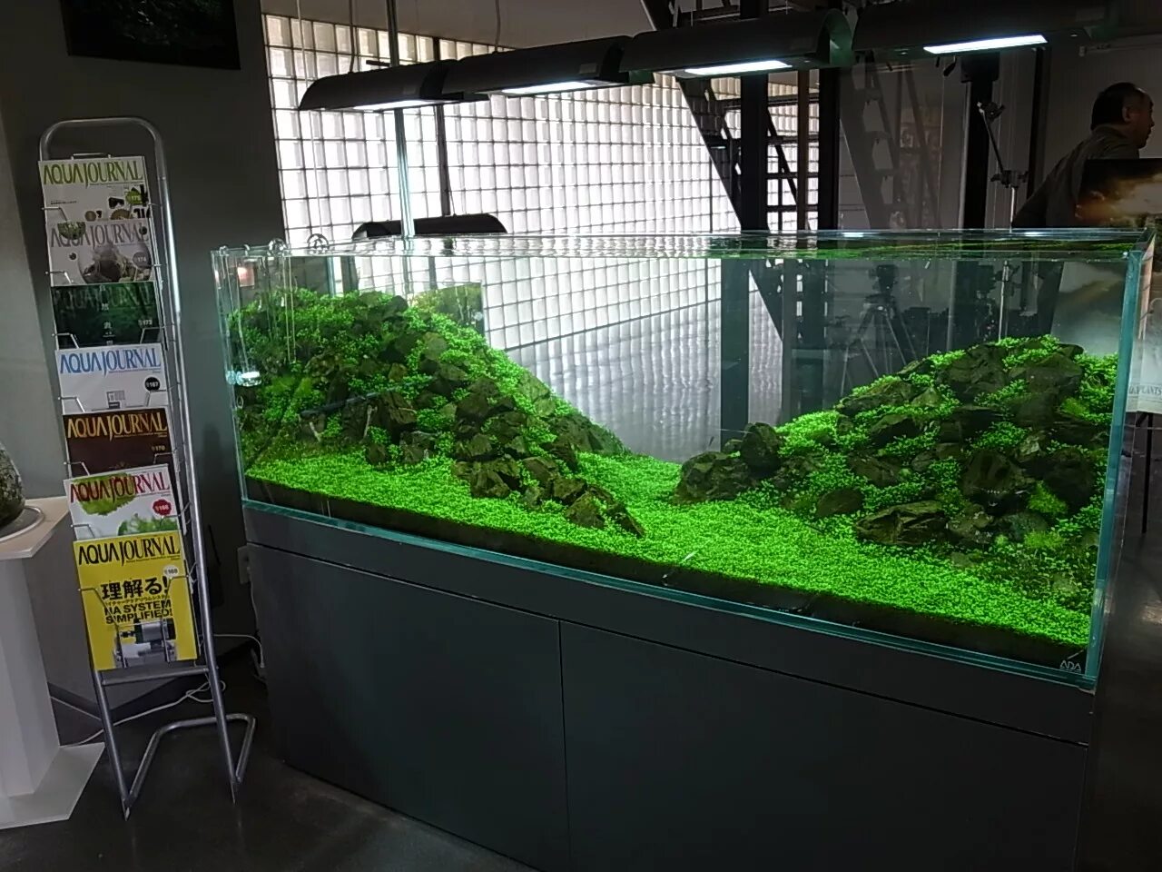 каркасный аквариум. угловой вертикальный аквариум. акваскейп в длинном аквариуме. аквариум rt-3000 cl. вытянутый аквариум.