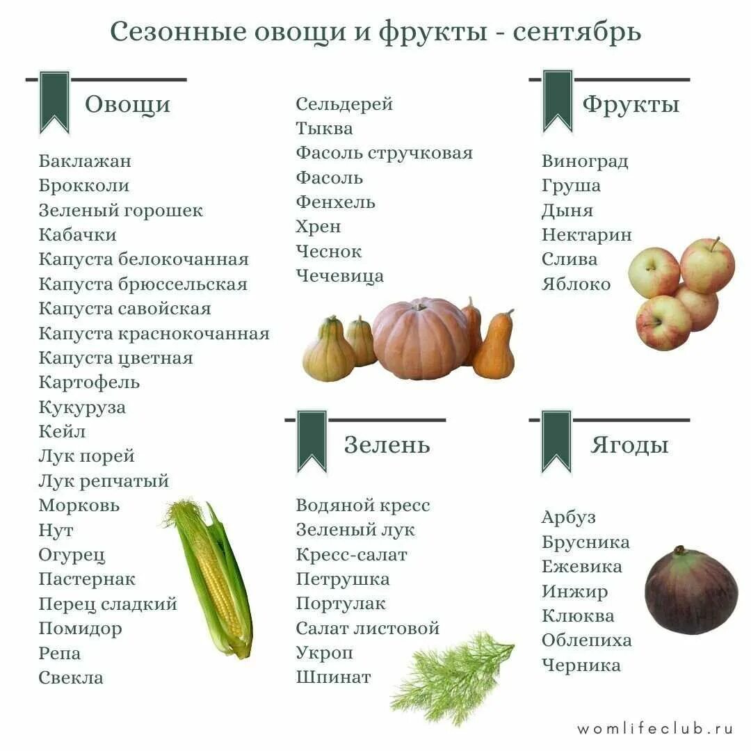 Сезонные фрукты и овощи по месяцам в России таблица. Сезонные продукты в России по месяцам таблица. Сезонные овощи. Сезонные фрукты.