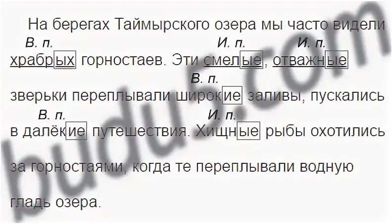 На берегу озера падеж. Русский язык 4 класс упражнение 88. Русский язык 9 класс упражнение 88. На берегах Таймырского озера мы часто видели храбрых Горностаев. Храбрых падеж.