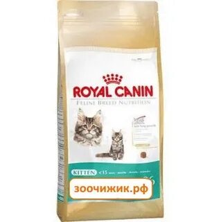 Royal canin мейн кун
