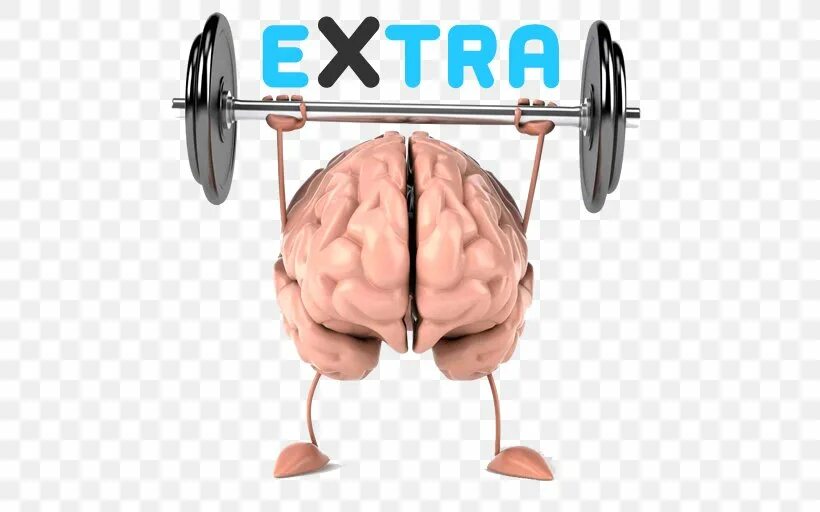 Muscle memory