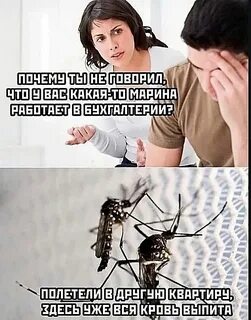 Удивляться тут нечему