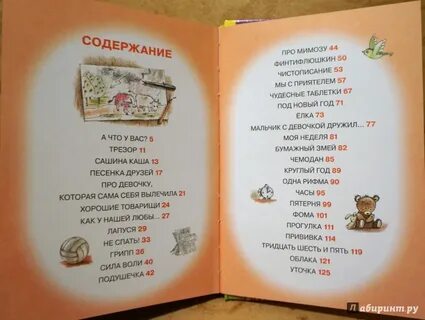 Почему стихотворение михалкова названа сашина каша