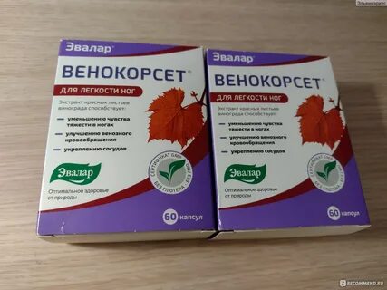 Венокорсет