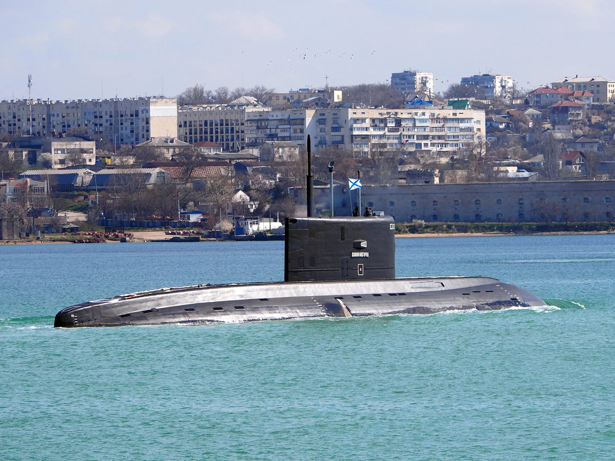 Великий пл. Подводная лодка ЧФ Севастополь. Подлодка б-268 Великий Новгород. Б-268 «Великий Новгород». Подводная лодка Великий Новгород.