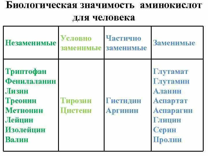 Незаменимая аминокислота в составе белков. Заменимые полузаменимые незаменимые аминокислоты. Условно заменимые аминокислоты. Заменимые и незаменимые аминокислоты таблица. Классификация аминокислот заменимые и незаменимые условно заменимые.