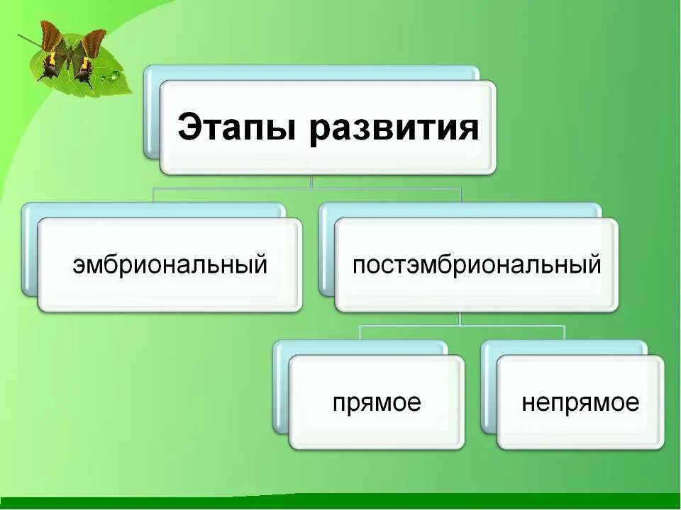 Постэмбриональное развитие прямое непрямое метаморфоз. Полное развитие животных. Полное развитие животных. Полный и неполный метаморфоз. Этапы постэмбрионального развития животных.